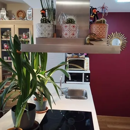 Apartment Logement Quartier Romantique Plage *