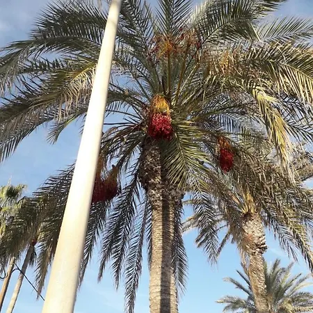 Logement Quartier Romantique Plage Sitges